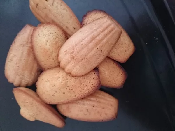 Madeleine Bärentatzen Madeleine Bärentatzen